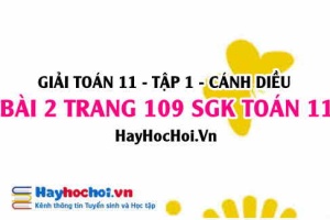 Giải bài 2 trang 109 Toán 11 tập 1 SGK Cánh Diều